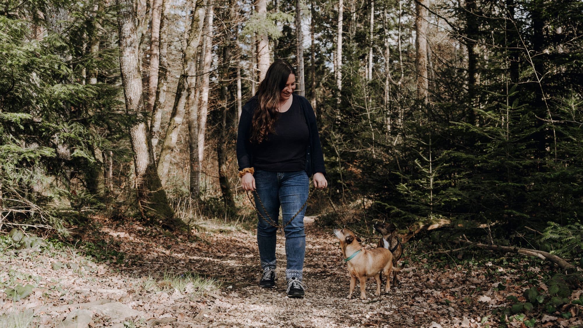 Unterwegs im Wald mit den Hunden